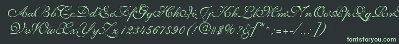 Czcionka SyllingRegular – zielone czcionki na czarnym tle