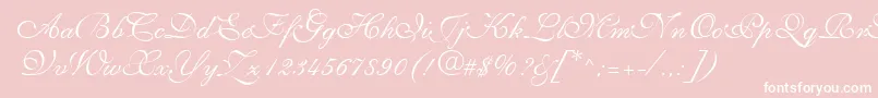 SyllingRegular-Schriftart – Weiße Schriften auf rosa Hintergrund