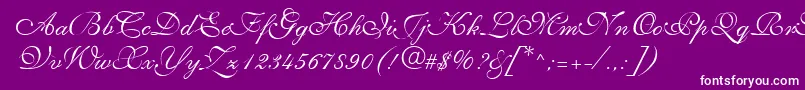 SyllingRegular Font – White Fonts on Purple Background