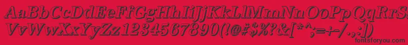 AntiquashCdMediumItalic Font – Black Fonts on Red Background