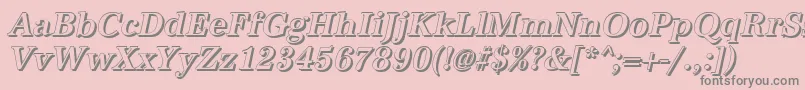 AntiquashCdMediumItalic Font – Gray Fonts on Pink Background