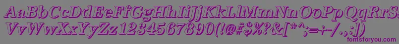 AntiquashCdMediumItalic Font – Purple Fonts on Gray Background