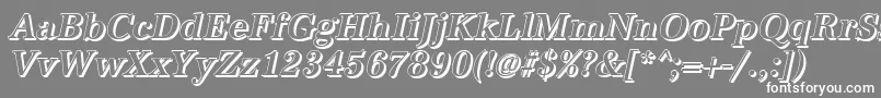 Шрифт AntiquashCdMediumItalic – белые шрифты на сером фоне