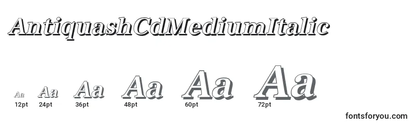 AntiquashCdMediumItalic Font Sizes