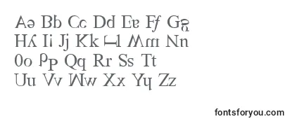 TimesScrewedRoman-fontti