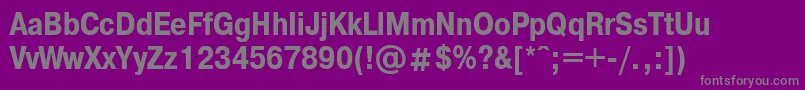 PragmaticacondbttBold Font – Gray Fonts on Purple Background