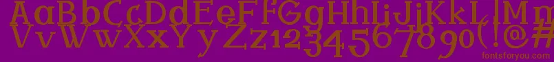 Ferqui Font – Brown Fonts on Purple Background