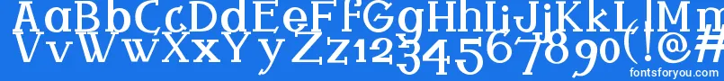 Ferqui Font – White Fonts on Blue Background