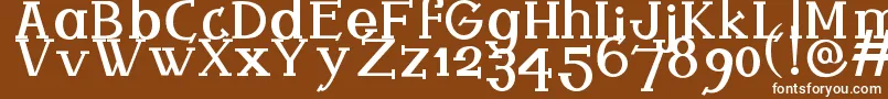 Ferqui Font – White Fonts on Brown Background