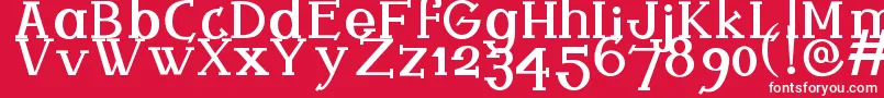 Ferqui Font – White Fonts on Red Background