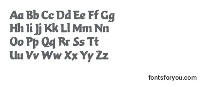 VarioBold Font