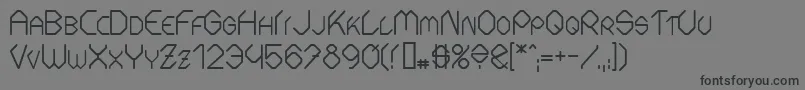 Шрифт FontmakerSlash – чёрные шрифты на сером фоне