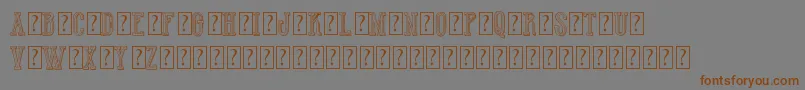 HotWinnerTeamDemo Font – Brown Fonts on Gray Background