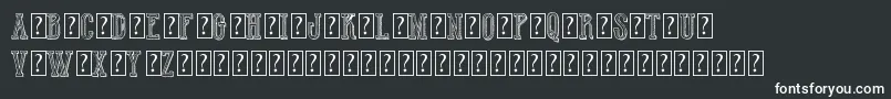 Шрифт HotWinnerTeamDemo – белые шрифты на чёрном фоне