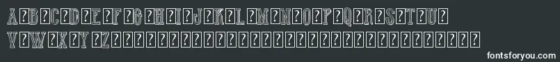 HotWinnerTeamDemo Font – White Fonts on Black Background