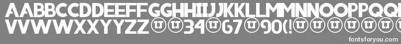 フォントIniico – 灰色の背景に白い文字