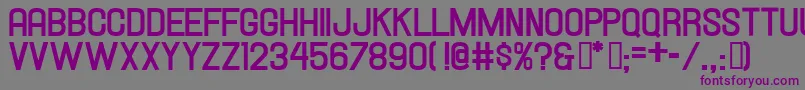 Шрифт HallandaleBoldJl – фиолетовые шрифты на сером фоне