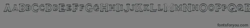 Tinplatetitlingdouble Font – Black Fonts on Gray Background