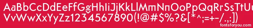 フォントFtanimaMedium – 赤い背景に白い文字