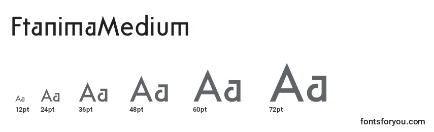 FtanimaMedium Font Sizes