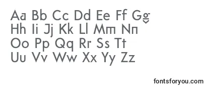 Обзор шрифта FtanimaMedium