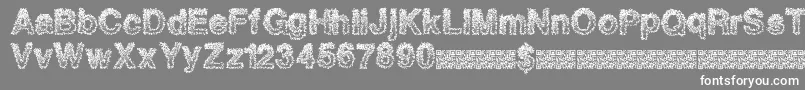 Quantumants Font – White Fonts on Gray Background