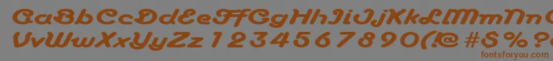 More about AnacondaexpandedRegular Font AnacondaexpandedRegular Font – Brown Fonts on Gray Background