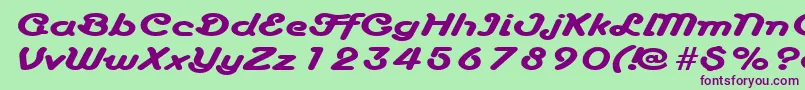 AnacondaexpandedRegular Font – Purple Fonts on Green Background