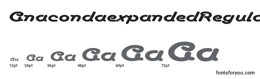 AnacondaexpandedRegular Font Sizes