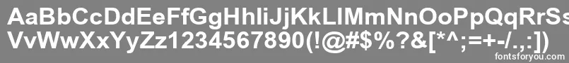 フォントArialCyr105b – 灰色の背景に白い文字