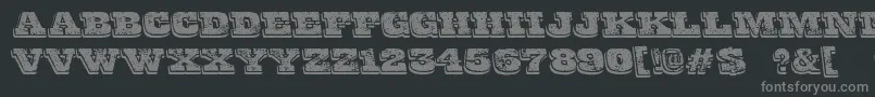 More about FinalGambit Font FinalGambit Font – Gray Fonts on Black Background