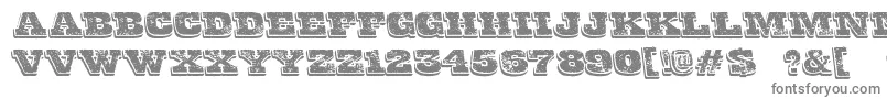 フォントFinalGambit – 白い背景に灰色の文字