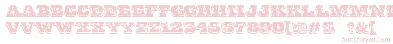 FinalGambit Font – Pink Fonts on White Background