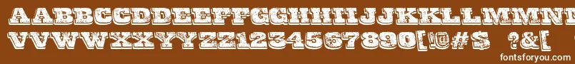 FinalGambit Font – White Fonts on Brown Background