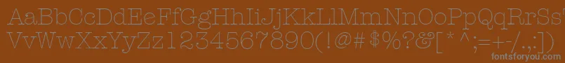 KeyboardLightAlternateSsiLightAlternate Font – Gray Fonts on Brown Background