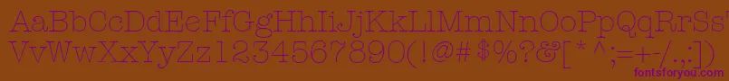 KeyboardLightAlternateSsiLightAlternate Font – Purple Fonts on Brown Background