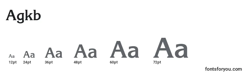 Размеры шрифта Agkb
