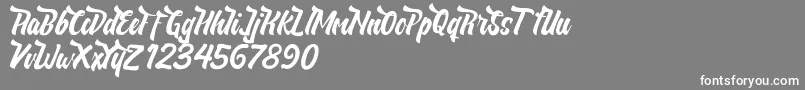 フォントNeldaFree – 灰色の背景に白い文字
