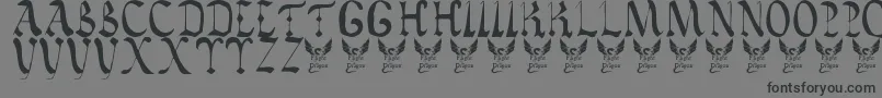 VaticanRoughLetters8thC. Font – Black Fonts on Gray Background