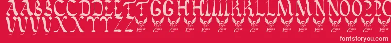 VaticanRoughLetters8thC. Font – Pink Fonts on Red Background