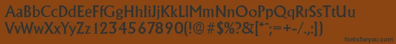 AdelonserialMediumRegular Font – Black Fonts on Brown Background
