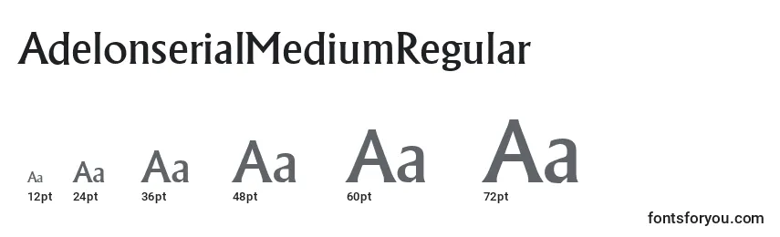 Размеры шрифта AdelonserialMediumRegular