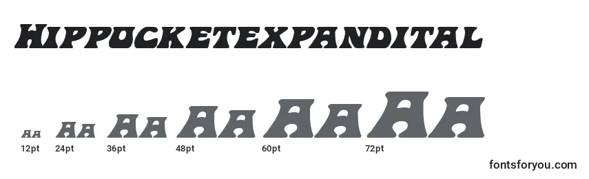 Hippocketexpandital Font Sizes