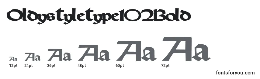 Размеры шрифта Oldystyletype102Bold