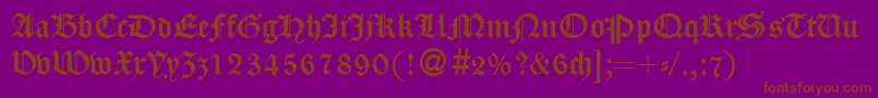 CassygothicdbNormal Font – Brown Fonts on Purple Background