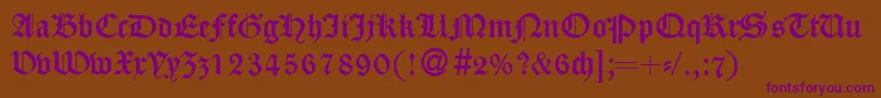 CassygothicdbNormal Font – Purple Fonts on Brown Background