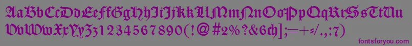 CassygothicdbNormal Font – Purple Fonts on Gray Background