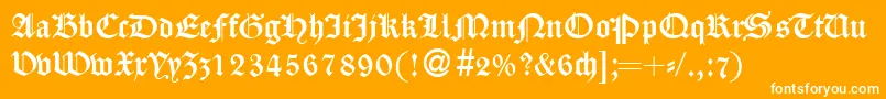 CassygothicdbNormal Font – White Fonts on Orange Background