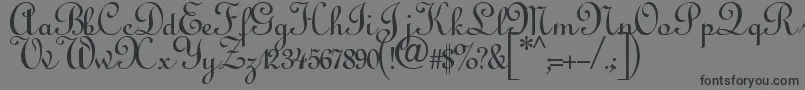 Annabelscript-fontti – mustat fontit harmaalla taustalla