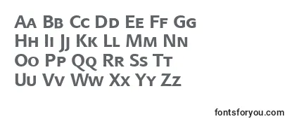 LinotypefinneganscBold-fontti